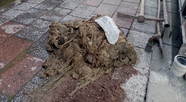 Kanalizasyondan çıkanlar ’Yok artık’ dedirtti Kanalizasyondan çıkanlar ’Yok artık’ dedirtti