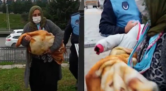 Kucağında bez bebek ile dilencilik yapan kadının foyası ortaya çıktı Kucağında bez bebek ile dilencilik yapan kadının foyası ortaya çıktı
