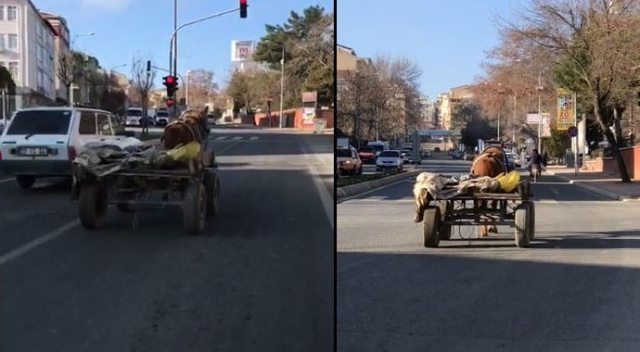 Sahibinden kaçan başıboş at trafikte tehlike saçtı Sahibinden kaçan başıboş at trafikte tehlike saçtı