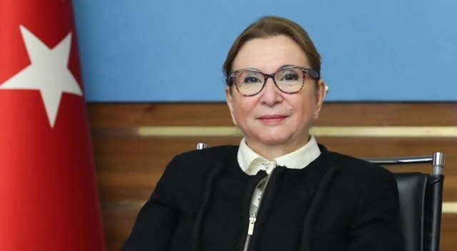 Ticaret Bakanı Pekcan: Esnaf ve sanatkarlarımıza sağlanan destekler etkinlikle sürecektir Ticaret Bakanı Pekcan: Esnaf ve sanatkarlarımıza sağlanan destekler etkinlikle sürecektir
