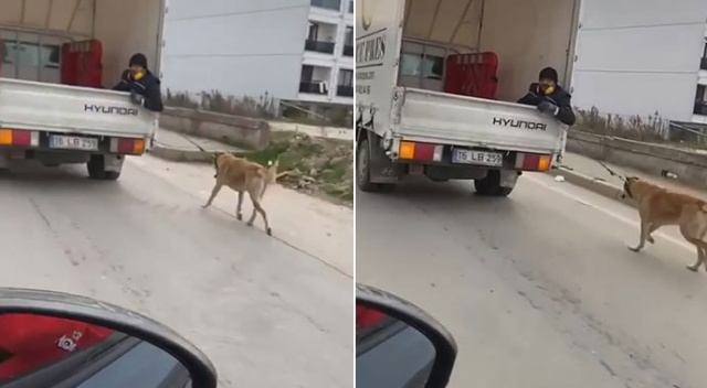 Köpeği kamyonetin arkasında sürükledi