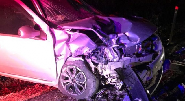 Yola çıkan domuz, kazaya sebep oldu: 2 yaralı Yola çıkan domuz, kazaya sebep oldu: 2 yaralı