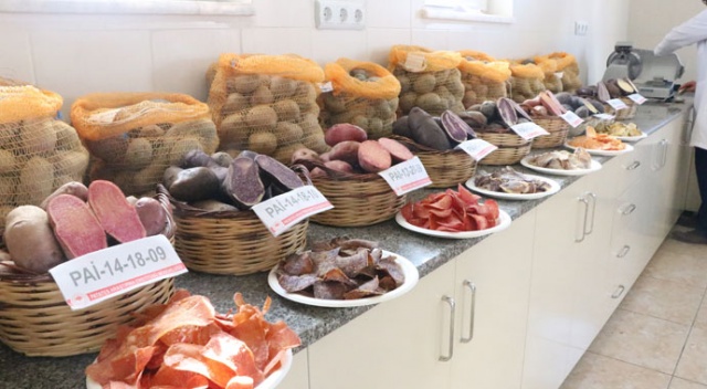 10 renkte cipslik yerli patates üretildi 10 renkte cipslik yerli patates üretildi