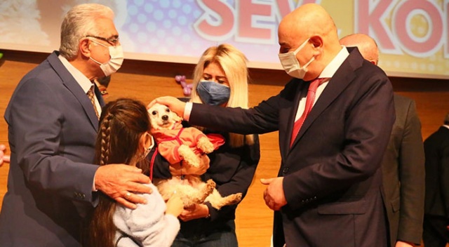 Başkent’te ses telleri kesilen köpekler sahiplendirildi Başkent’te ses telleri kesilen köpekler sahiplendirildi