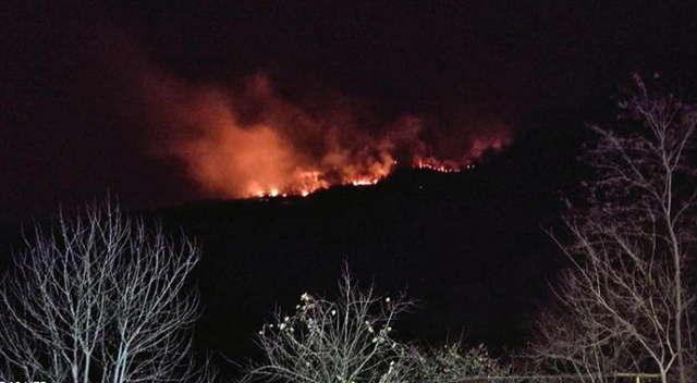 Giresun'da orman yangını Giresun'da orman yangını
