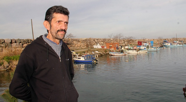 Hamsinin geleceği tehlikede Hamsinin geleceği tehlikede