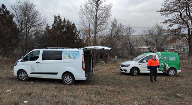 Köpek dövüştüren şahsa 26 bin TL para cezası