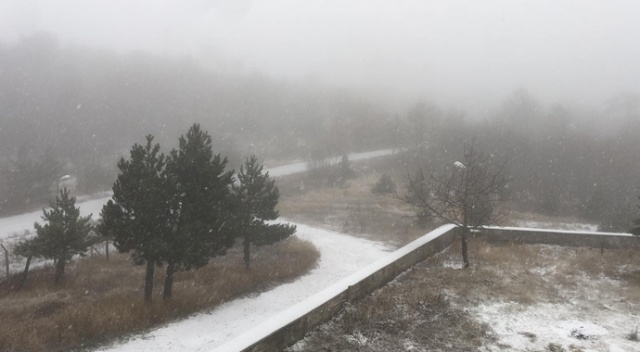 O ile yeni yılın ilk karı yağdı