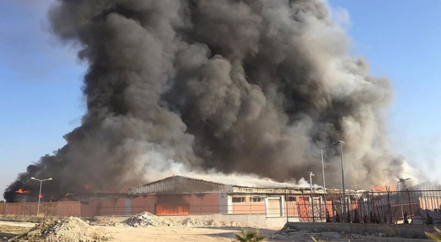 Şanlıurfa'da lojistik deposunda yangın