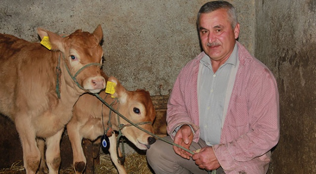 Yeni yılın ilk buzağılarına korona aşısını bulan Türk çiftin isimlerini verdi Yeni yılın ilk buzağılarına korona aşısını bulan Türk çiftin isimlerini verdi