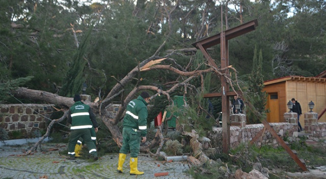 Ayvalık’ta hortum yıktı geçti Ayvalık’ta hortum yıktı geçti