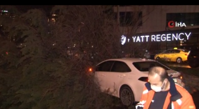 Bakırköy’de gövdesinden kırılan ağaç seyir halindeki aracın üzerine düştü Bakırköy’de gövdesinden kırılan ağaç seyir halindeki aracın üzerine düştü