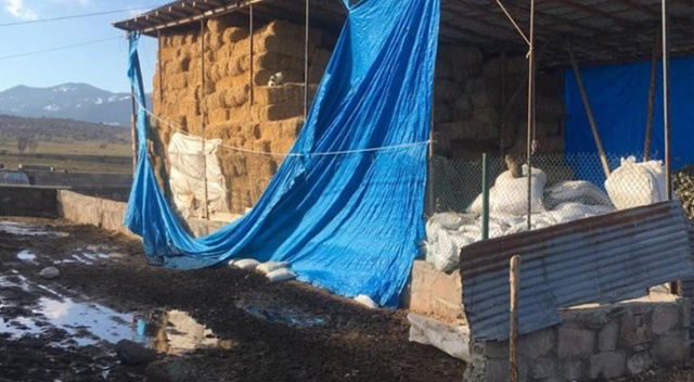 Başkent’te tarihi eser kaçakçılarına suçüstü
