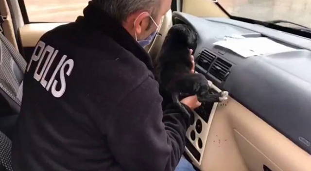 Donmak üzere olan yavru köpeğin yardımına polis yetişti Donmak üzere olan yavru köpeğin yardımına polis yetişti