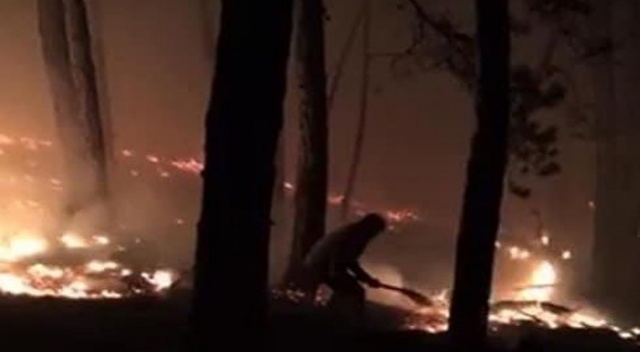 Kastamonu’da orman yangını: Ekipler müdahale ediyor