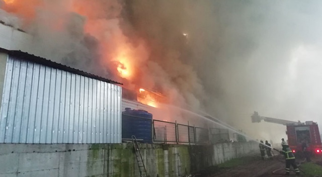 Kocaeli&#039;de 3 bin 500 metrekarelik tavuk çiftliği alev alev yandı