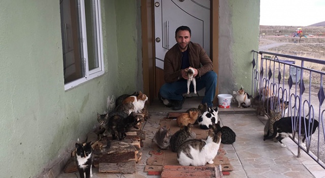 Konya'da yaklaşık 30 kedi besleyen imam: "Biz onlara baktıkça huzur bulduk"