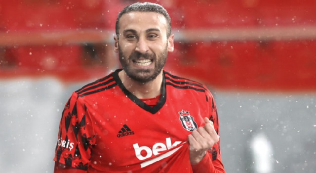 Lapa lapa Kartal Lapa lapa Kartal