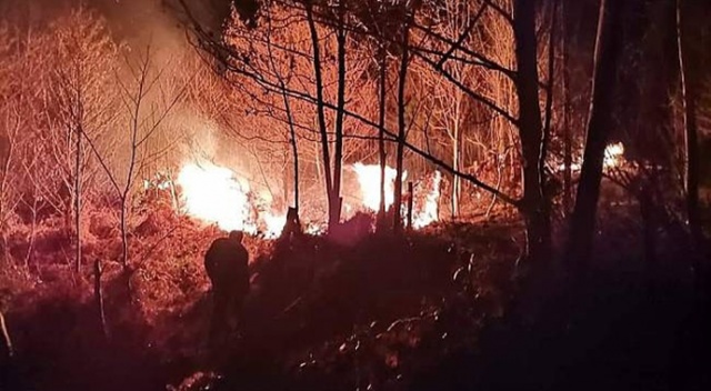Sinop'ta korkutan yangın Sinop'ta korkutan yangın
