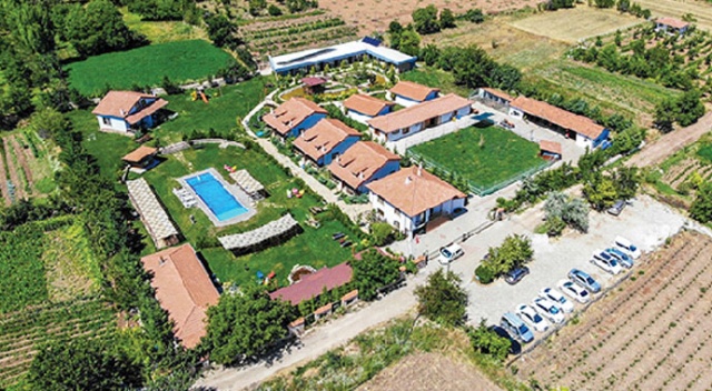 Tarım arazilerinde 'koronakondu' patladı! Tarım arazilerinde 'koronakondu' patladı!