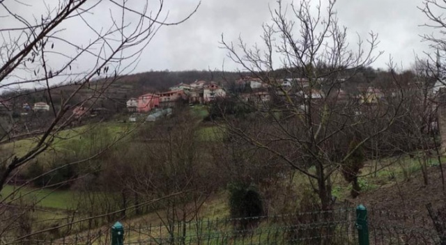 Traktör devrildi, eşini kaybetti