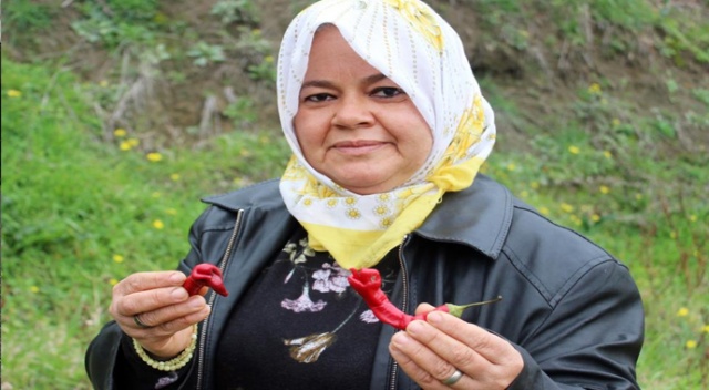 Yılana benzeyen biber çiftçiyi korkuttu