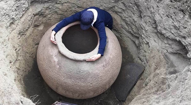 Ağaç dikmeye gitti, bir insan boyunda dev küp buldu