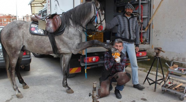 At sevgisi 35 yaşında nalbant yaptı