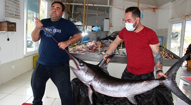 Fethiye açıklarında 80 ve 100 kilogramlık 2 kılıçbalığı oltayla yakalandı Fethiye açıklarında 80 ve 100 kilogramlık 2 kılıçbalığı oltayla yakalandı