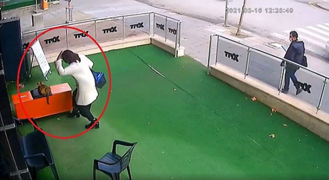 Hamile kediye vuran kadın yakalandı Hamile kediye vuran kadın yakalandı
