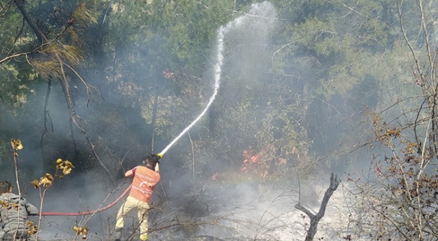 Hatay&#039;da orman yangını