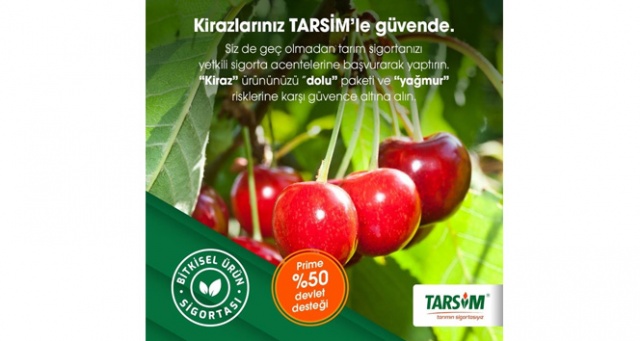TARSİM: 'Kiraz ürününüz dolu paketi kapsamında güvende' TARSİM: 'Kiraz ürününüz dolu paketi kapsamında güvende'