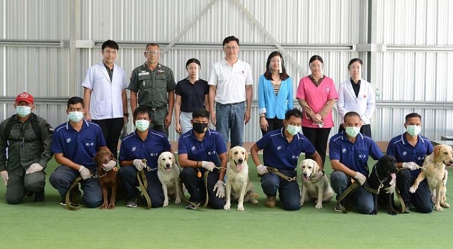 Taylandlı bilim insanları 6 köpeği Covid-19 testi için eğitti Taylandlı bilim insanları 6 köpeği Covid-19 testi için eğitti