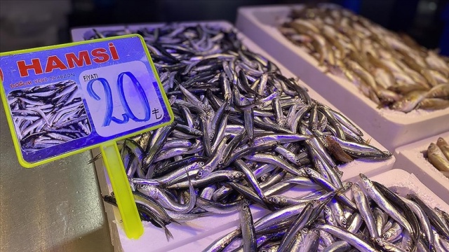 Trabzon'da taze hamsinin kilogramı 20-30 liradan satılıyor Trabzon'da taze hamsinin kilogramı 20-30 liradan satılıyor