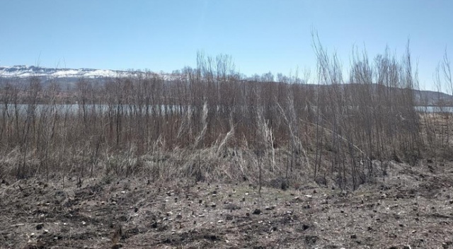 Yağmur ve şiddetli rüzgar sazlık alanda hasar bıraktı
