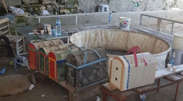 Horoz dövüştüren 6 kişiye para cezası