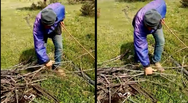 Kokuya giden çoban, vahşeti ortaya çıkardı