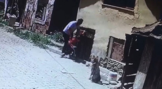8 yaşındaki çocuğu köpeklerin önüne attı 8 yaşındaki çocuğu köpeklerin önüne attı