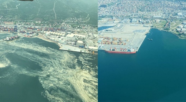 Deniz salyasının istila ettiği İzmit Körfezi eski haline dönüyor