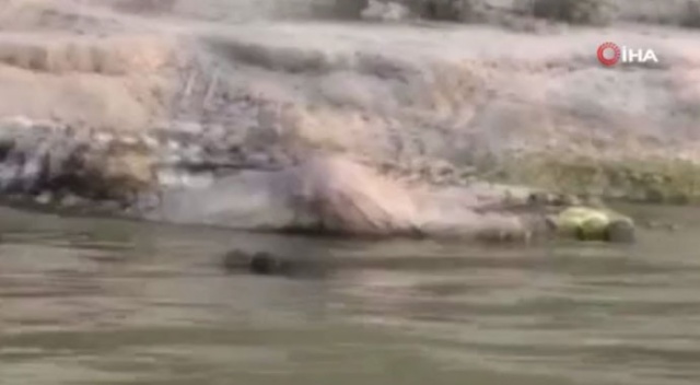 Hindistan'da Ganj Nehri kıyısına 71 cansız beden vurdu Hindistan'da Ganj Nehri kıyısına 71 cansız beden vurdu