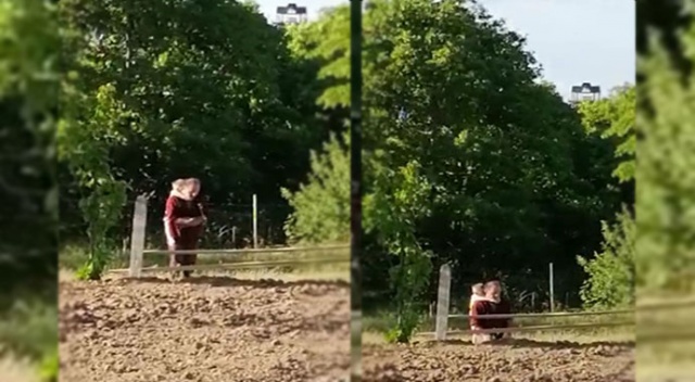 Yaramaz torun namaz kılan dedesine rahat vermedi Yaramaz torun namaz kılan dedesine rahat vermedi