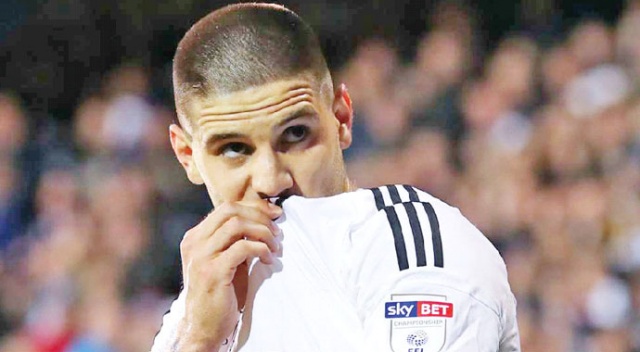 Mitrovic bize gel Mitrovic bize gel