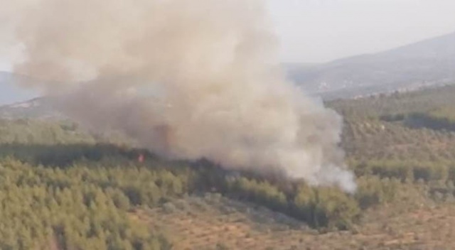 Muğla'dan bir yangın haberi daha geldi Muğla'dan bir yangın haberi daha geldi