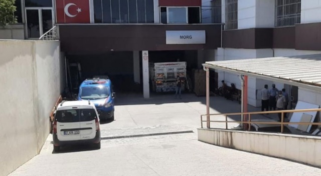Oyun oynadığı ağacın altı sonu oldu Oyun oynadığı ağacın altı sonu oldu