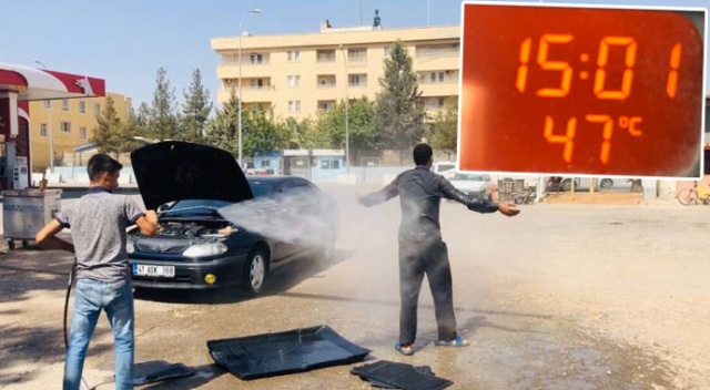 Termometreler 47 dereceyi gösterdi, ilginç görüntüler ortaya çıktı Termometreler 47 dereceyi gösterdi, ilginç görüntüler ortaya çıktı