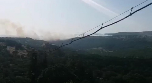Balıkesir Savaştepe'de orman yangını çıktı Balıkesir Savaştepe'de orman yangını çıktı