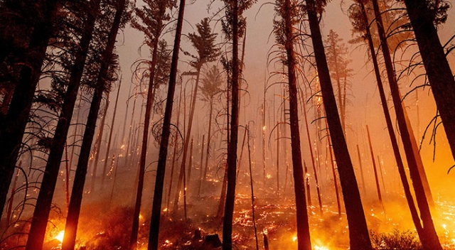 California’da yangınlar devam ediyor! 17 bin kişi evini terk etti California’da yangınlar devam ediyor! 17 bin kişi evini terk etti