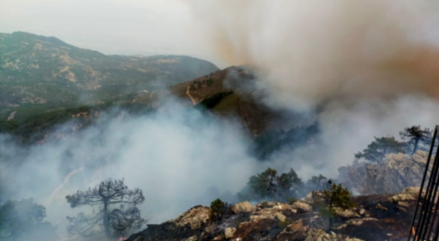 Kaş ve Bozdoğan&#039;da yangın çıktı