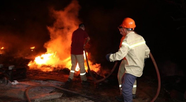 Yangın çıktı, binlerce arı telef oldu Yangın çıktı, binlerce arı telef oldu