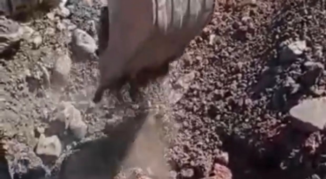 İnek kuduz oldu! Mahalleli karantinaya alındı İnek kuduz oldu! Mahalleli karantinaya alındı